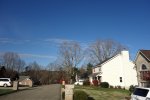 DSC09110.jpg
