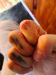 IMG_20190818_114529.jpg