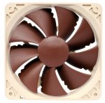 Noctua.jpg
